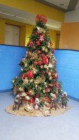 /album/mercatino-di-natale-2016/a20161216-144344-resized-jpg/