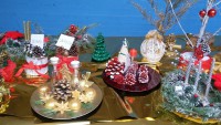 /album/mercatino-di-natale-2016/a20161216-145000-resized-jpg/