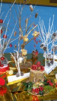 /album/mercatino-di-natale-2016/a20161216-145014-resized-jpg/