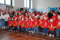/album/natale-a-guardia-lombardi/natale-2016-052-jpg/