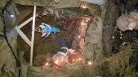 /album/natale-a-morra-de-sanctis/wp-20161217-09-58-17-pro-jpg/