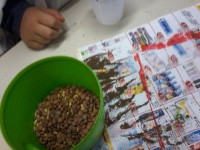 /album/momenti-di-un-anno-scolastico/a20161111-131448-jpg/