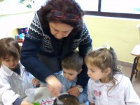 /album/momenti-di-un-anno-scolastico/a20161111-131505-jpg/