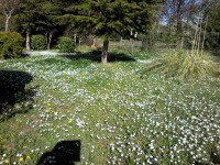 /album/momenti-di-un-anno-scolastico/a20170329-162051-jpg/