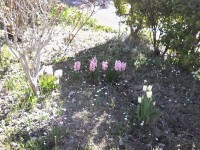 /album/momenti-di-un-anno-scolastico/a20170329-162122-jpg/