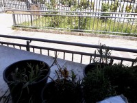 /album/momenti-di-un-anno-scolastico/a20170518-125806-jpg/