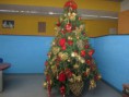 /album/natale-2015/img-0655-jpg3/
