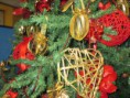/album/natale-2015/img-0659-jpg2/