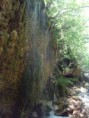 /album/senerchia/img-20160506-122928-jpg/