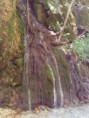 /album/senerchia/img-20160506-123021-jpg/