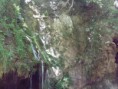/album/senerchia/img-20160506-123239-jpg/