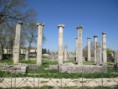 /album/sepino/img-0810-jpg/