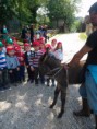 /album/scuola-dellinfanzia-santangelo-fattoria-didattica-a-oliveto-citra/img-20160602-wa0006-jpg/