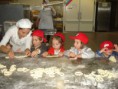/album/scuola-dellinfanzia-santangelo-fattoria-didattica-a-oliveto-citra/img-20160602-wa0017-jpg/